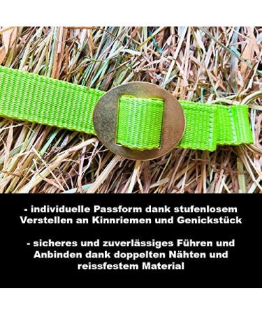 Horse Halter for Warmblood Thoroughbred & Cold Blood | Adjustable Tear-Resistant Safe - Light Green Stable & Pasture Use - Buy Online on GoSupps.com