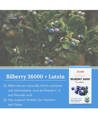 (Pack of 3) Hi Well Premium Bilberry 36000 + Lutein 60Vegtarian Capsules - Buy Online on GoSupps.com