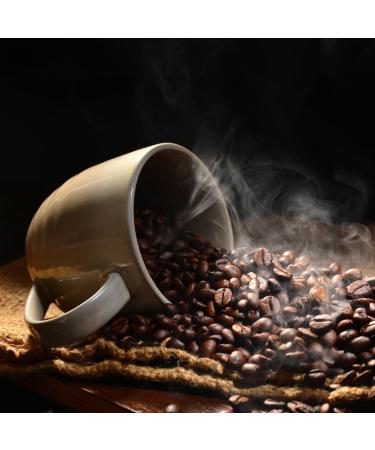 Coffeetude Utopian Harmony Blend (400g 14oz) Exclusive Arabica and Robusta Coffee Blend Whole Coffee Beans Medium roasted Ideal for Espresso Cappuccino Macchiato Latte Mocha Dark Chocolate 400 g (Pack of 1) - Buy Online on GoSupps.com