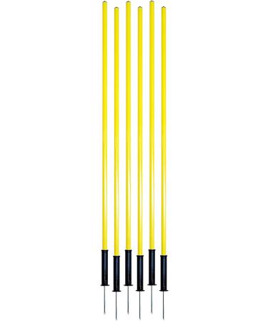 American Challenge Portable Coaching Poles - Spring Base | Buy Now - Buy Online on GoSupps.com