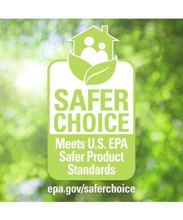 Biokleen Dish Liquid Soap 50 oz - Eco-Friendly Lemon Thyme Plant-Based Hand Moisturizing No Artificial Fragrance or Preservatives - International Shipping Available - Buy Online on GoSupps.com