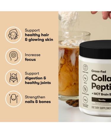 Perfect Keto Collagen Peptides Protein Powder with MCT Oil - Chocolate | Non-GMO Grassfed Supplement for Men & Women - Buy Online on GoSupps.com
