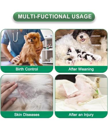 EMUST Dog Recovery Suit After Surgery Wear for Dogs Male Female Pet E-Collars Alternative Bandages Professional Dog Onesie for Surgery for Abdominal Wounds Weaning&Skin DiseasesNavy&Green Strip/XL XL Navy&Green Strip - Buy Online on GoSupps.com