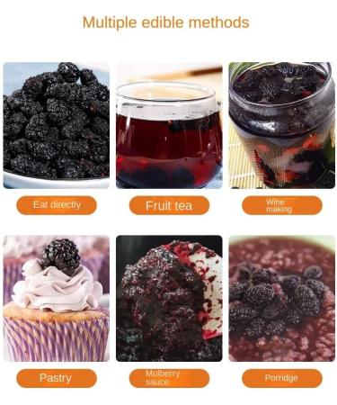 Zercumm Mulberry 250G Canned Super Sand-Free Dried Black Mulberry Dried Fruit Disposable Instant Sweet - Buy Online on GoSupps.com