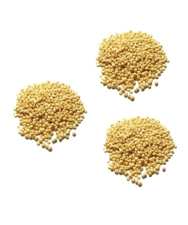 Minkissy 3Pcs Coarse Wax Pearls for Body Hair Removal | Easy Painless Hard Wax Beans - Light Yellow Beeswax - Buy Online on GoSupps.com