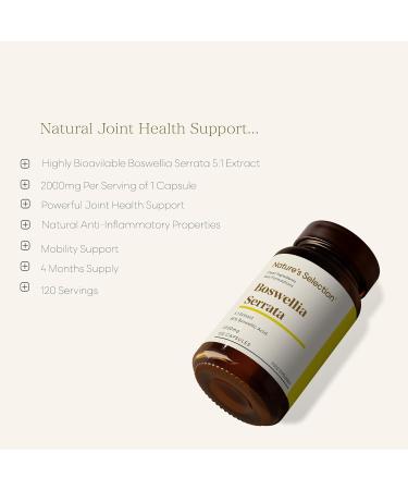 Nature's Selection Boswellia Serrata 2000mg 5:1 Extract | 120 Vegan High Strength Capsules | Indian Frankincense Boswellia | Anti Inflammatory Joint Care | Manufactured in The UK - Buy Online on GoSupps.com