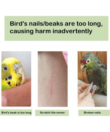 Bird Wooden Ladder Toy for Climbing and Chewing - Pet Parrots Cage Accessories and Play Platform - Buy Online on GoSupps.com