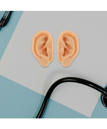 KITCHENKARATLY 1 Pair Practice Piercing Ear Models - Silicone Ear Acupuncture Point Display for Massage - Human Anatomy Teaching Model for Nursing Training - Buy Online on GoSupps.com