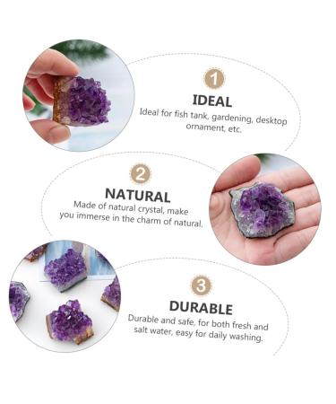 MUCKLILY Purple Ornament 2pcs Amethyst Cluster Chips Natural Crystal Decoration Natural Crystal Ornament Various Ornaments - Buy Online on GoSupps.com