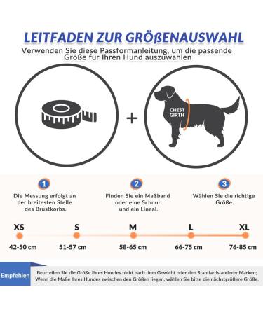 Eyin Life Jackets for Small Dogs | Adjustable Dog Vest with Strong Buoyancy & Reflective Handle | Tear-Resistant Swimming Aid (XS Orange & Gray) - Buy Online on GoSupps.com