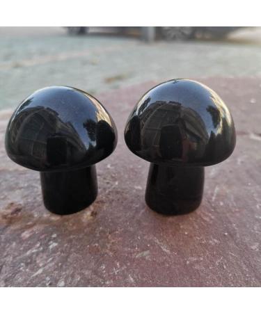 Natural Black Obsidian Mushroom Hand Carved Stone Mushroom for Home Decoration (Color : 1pc) - Buy Online on GoSupps.com
