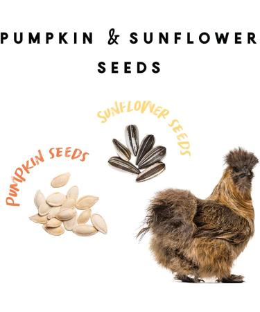 Manna Pro Chicken Scratch Garden Grains Treat for Chickens & Ducks | 2.25 lb Pack | Chicken Coop Supplies - Buy Online on GoSupps.com