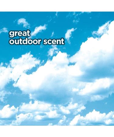 HOME VICTORY Outdoor Scented Dryer Sheets - 480 Count Fabric Softener Sheets - Reduces Wrinkles, Controls Static, Softens Fabric - Pack of 1 - Buy Online on GoSupps.com