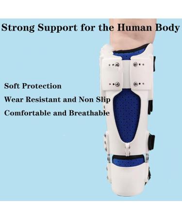 SFKLYU Ankle Support Brace | Ankle Protector with Guard Plate for Arthritis & Injury Recovery - L Size - Buy Online on GoSupps.com