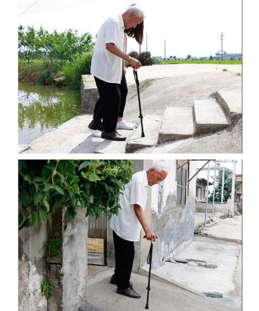 Old Man Crutches Carbon Ultralight Retractable Solid Wood Grip Non-Slip Cane Beautiful Scenery - Buy Online on GoSupps.com