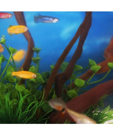 Buy Ctpeng Resin Aquarium Decoration Tree Trunk - Natural Sunken Wood Cave Ornament (23x15.5x11 cm) - Ideal for Fish Tanks - Buy Online on GoSupps.com