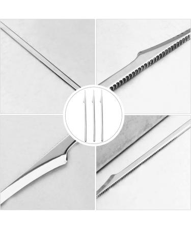 Buy Heallily Stainless Steel Foot File - Dead Skin Scraper Pedicure Tool for Men & Women - 3PCs 17x0.3x0.2 cm - Best Foot Care Solution - Buy Online on GoSupps.com