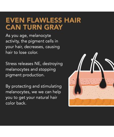SPARTAN Gray Hair Reverse Bar - Prevent Grays & Restore Hair Color for Stronger Smoother Hair | International Shipping Available - Buy Online on GoSupps.com