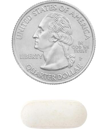 Elesb o 22 High Potency Vitamin C 1000mg with Rose Hips Immune & Antioxidant Support Supplement 500 Tablets Gluten-Free Lactose-Free Non-GMO - Buy Online on GoSupps.com