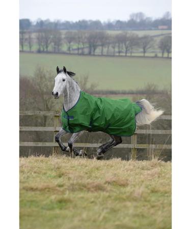 Bucas Freedom to 150g Emerald 165 - Buy Online on GoSupps.com