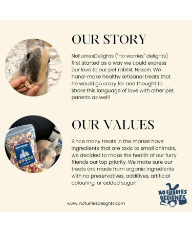 No Furries Delights 15pcs Mini Donuts Variety Pack 30g 100% Organic & All Natural Treat for Rabbit Hamster Guinea Pig Chinchilla Pet Rat Mice Healthy Small Animal Enrichment Bonding Reward Training - Buy Online on GoSupps.com