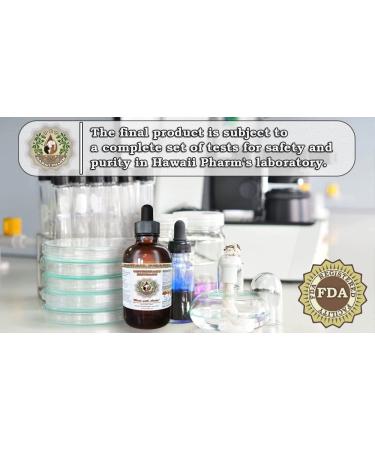 HawaiiPharm Skullcap Natural Alcohol-Free Liquid Extract 2 oz - Pet Herbal Supplement - Buy Online on GoSupps.com