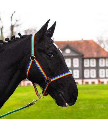 Halter for horse warmblood thoroughbred cold blood - stable halter pasture handle 2 compartment adjustable to chin straps and neck pieces safe & tearproof (Rainbow Shetty) Rainbow Shetty