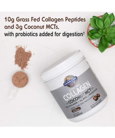 Garden of Life Grass Fed Collagen Coconut MCT Chocolate - 14.81 oz | Boost Joint Health & Vitality - Buy Online on GoSupps.com