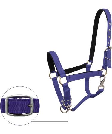 Meta Title: TrustBreech-HAltes Large Navy Blue | Premium Equestrian Riding Breeches - Buy Online on GoSupps.com