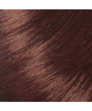 Buy Healthy Look Cool Chestnut Brown Iced Chocolate - Premium Hair Color for Stunning Results - Buy Online on GoSupps.com