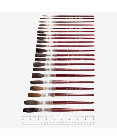 Andrew Mack Brown Kazan Squirrel Hair Lettering Quill 179L Size 12 - Fine Artist Brush - Buy Online on GoSupps.com