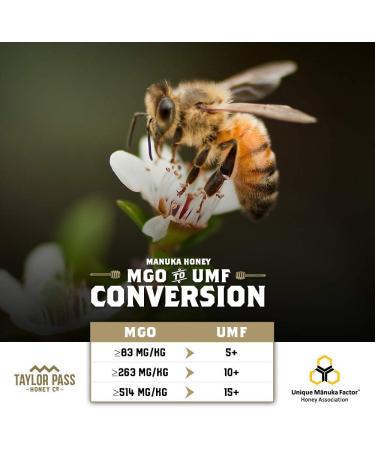Taylor Pass Honey Co. Multifloral Manuka Honey MGO50+ | Sustainable New Zealand Honey | (Manuka MGO50+) (500g) - Buy Online on GoSupps.com