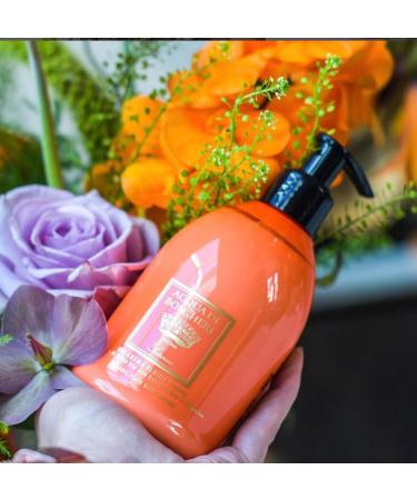 Dr. Taffi Acqua di Bolgheri Scirocco Fluid Body Lotion 300 ml - Buy Online on GoSupps.com