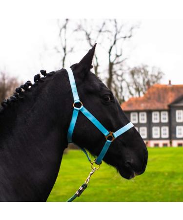 Halter for horse warmblood thoroughbred cold blood - stable halter pasture 2 compartment adjustable to chin straps and neck pieces safe & tearproof (turquoise pony) turquoise pony