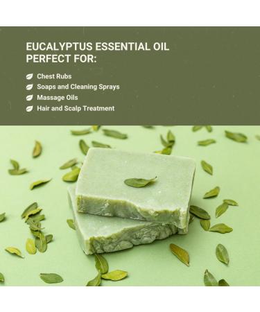 Eucalyptus Essential Oil from Bio-Young Aromas in China - Eucalyptus Essential Oils for Skin and for Diffuser - Aceite de Eucalipto (15ml) Eucalyptus 0.5 Fl Oz (Pack of 1) - Buy Online on GoSupps.com