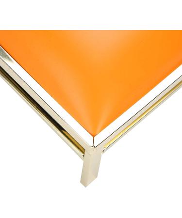 Hand Pillow Manicure Accessory Arm Rest Pillow Orange Hand Rest Cushion Manicure Tool for Nail Salon Nail Technician - Buy Online on GoSupps.com
