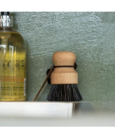 ENA Living Wooden Pot Brush (9x6 cm) | Sustainable FSC-Certified Beechwood Dish Brush | Eco Friendly Dish Brush Made with Beechwood and Coconut Fiber | Long Lasting and Sturdy Wooden Dish Brush Beechwood Brush w/horse hair - Buy Online on GoSupps.com