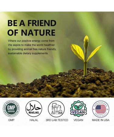 Fast Slim Pro Keto Diet Pills- 90 Capsules for Easy Ketosis & Weight Control Apple Cider Vinegar & BHB Salt Supplement to Burn Fat, Boost Energy & Suppress Cravings 1000mg for Men and Women - Buy Online on GoSupps.com