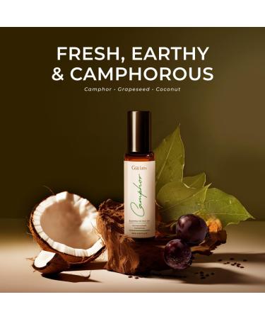 Camphor & Lavender Roll On Set - Essential Oils Aromatherapy Roll On with Essential Oil Set - 2x0.34 fl oz - Gya Labs - Buy Online on GoSupps.com