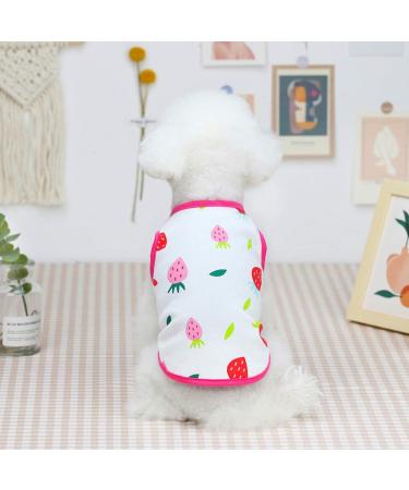 5-Pack Cute Fruit Printed Dog Shirts | Breathable Puppy Vests & Summer T-Shirts for Small Dogs & Cats | Fashionable Beach Clothes - Buy Online on GoSupps.com