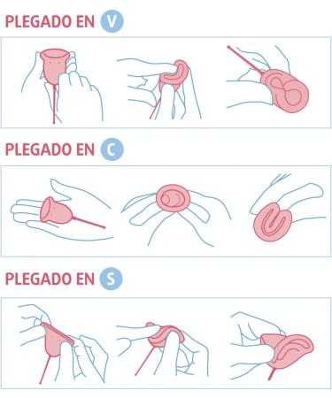 Enna Copa Menstrual T-L 2U+CAJ - Eco-Friendly Menstrual Cups for International Shipping - Buy Online on GoSupps.com
