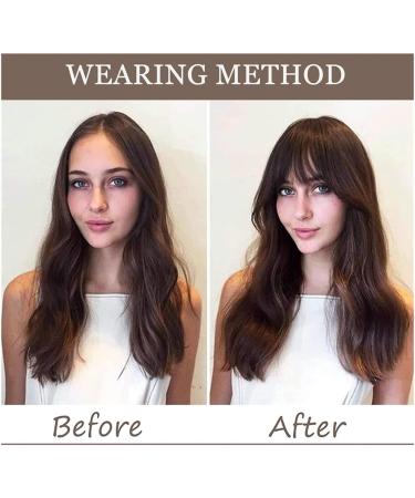 Bangs Hair Bangs Hair Clip Bang Clip on Air Bangs Natural Fringe Front Flat Bang 1 Piece Straight Hair for Women Hair Extensions(K20-4) 6inches K20-4 - Buy Online on GoSupps.com