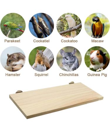 Wooden Parrot Bird Perch Platform for Budgie, Parakeet, Cockatiel, Conure, Chinchillas - Buy Online on GoSupps.com