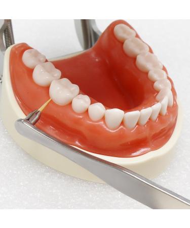 piklip Toothpick Dental Pick - Effective Teeth Cleaning & Gum Health Tool | 500 Periodontist-Recommended Toothpicks for Optimal Oral Care - Buy Online on GoSupps.com