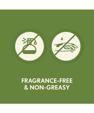 Aveeno Daily Moisturizing Lotion Fragrance Free 18 oz - Hydrating Skin Care - Buy Online on GoSupps.com