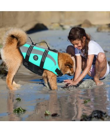Emust Dog Swim Vest - Ripstop Large Dog Swimming Vest with Double Rescue Handles - Turquoise XXL - Ideal for Swimming Pool & Safety - Buy Online on GoSupps.com