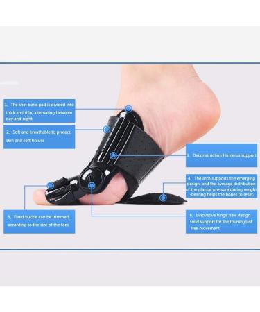 CAZARU FXJ Toe Separator & Corrector with Valgus Pads - Orthopedic Splint for Toe Alignment & Pain Relief - Buy Online on GoSupps.com