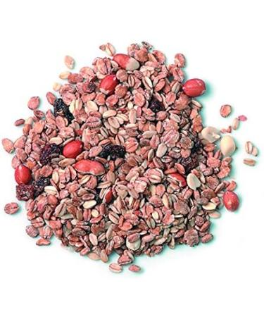 Erdtmanns Fatty Bird Feed 1 Kg - Pack of 4 - Buy Online on GoSupps.com