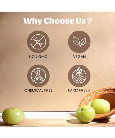 Neel Ayurvedics Amla Powder 300 GM - Buy Online on GoSupps.com