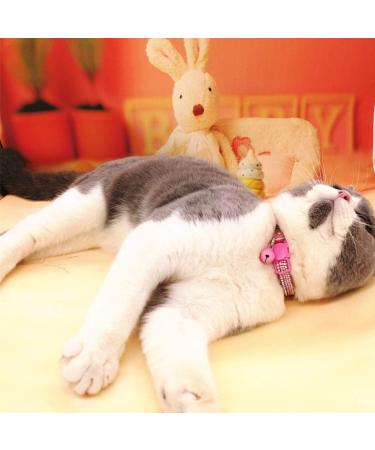 THAIN Basic Adjustable Cat Collar with Bling Diamond, Breakaway and Bell - Pink for Kitten Girls and Boys - Buy Online on GoSupps.com